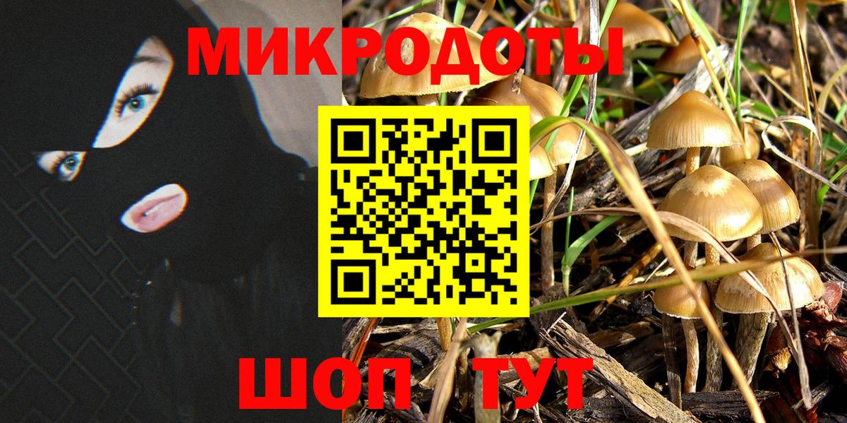 Галлюциногенные грибы Magic Shrooms  Псилоцибиновые грибы прущие грибы  Нефтекумск  Вход с VPN 