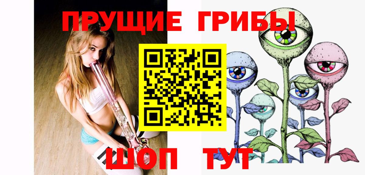 Галлюциногенные грибы Cubensis Нефтекумск